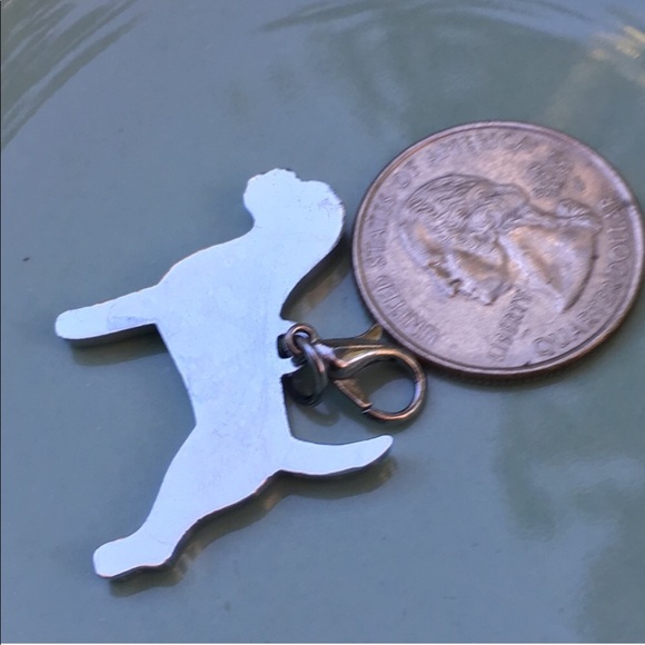 Charm ๐ Pit Bull, Lab, hound, mastiff, Rottweiler - Picture 2 of 4